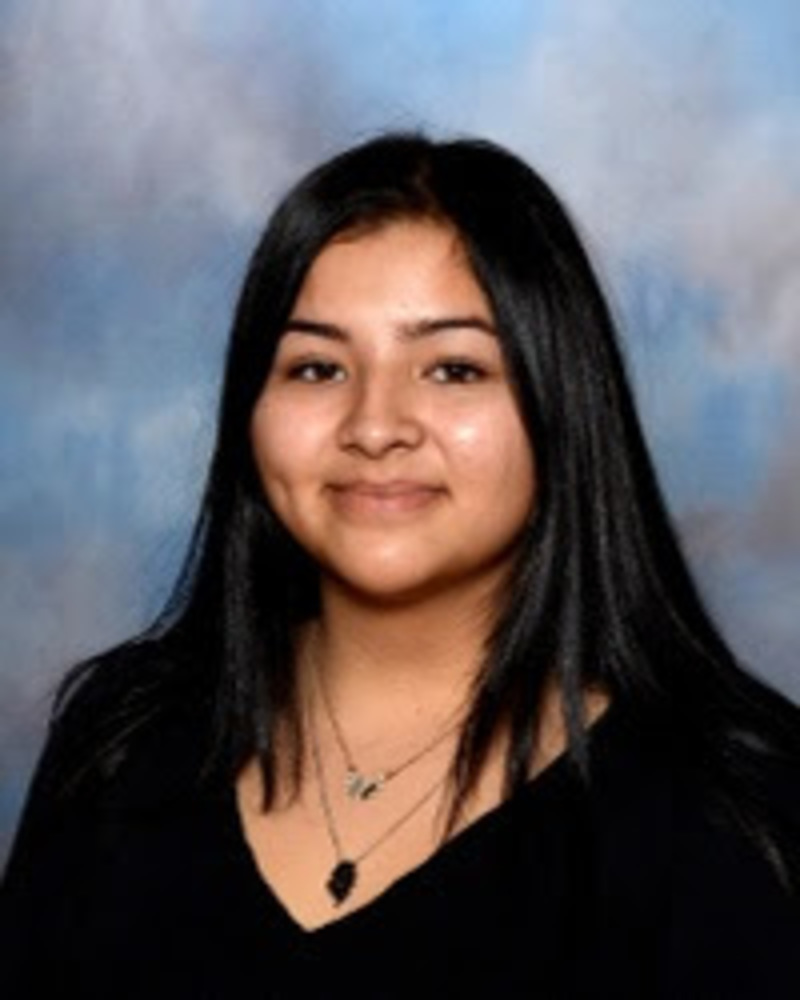 Meet your Posher, Siee